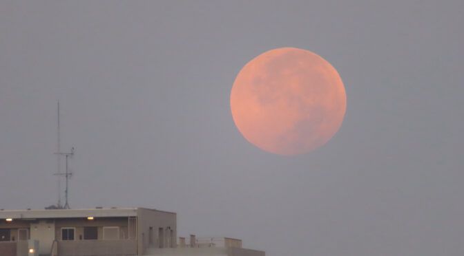 早朝の月を撮る
