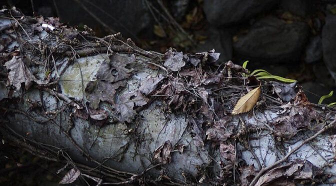１枚の対話「山中の落ち葉」