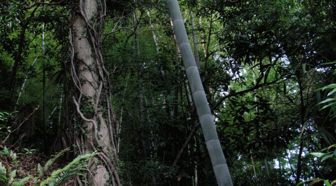 一枚の対話「静寂の矢」