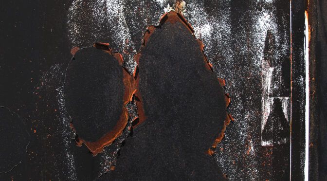 今日の１枚「ロールシャッハ的な美」