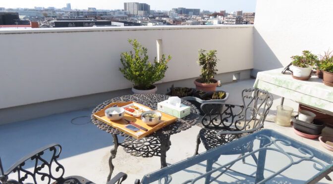 冬の暖かなベランダで