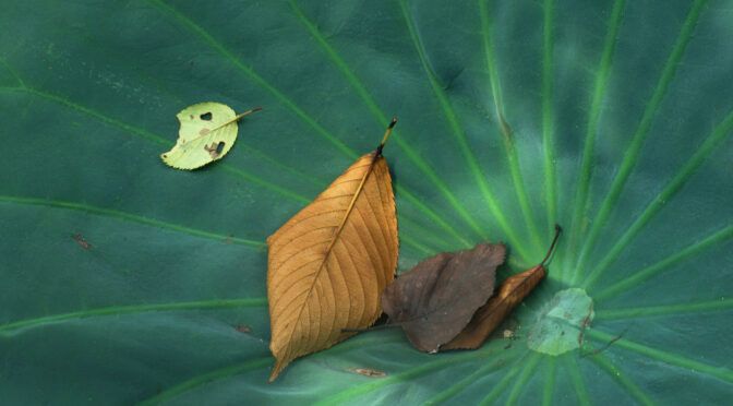 一枚の対話「たまりバ」